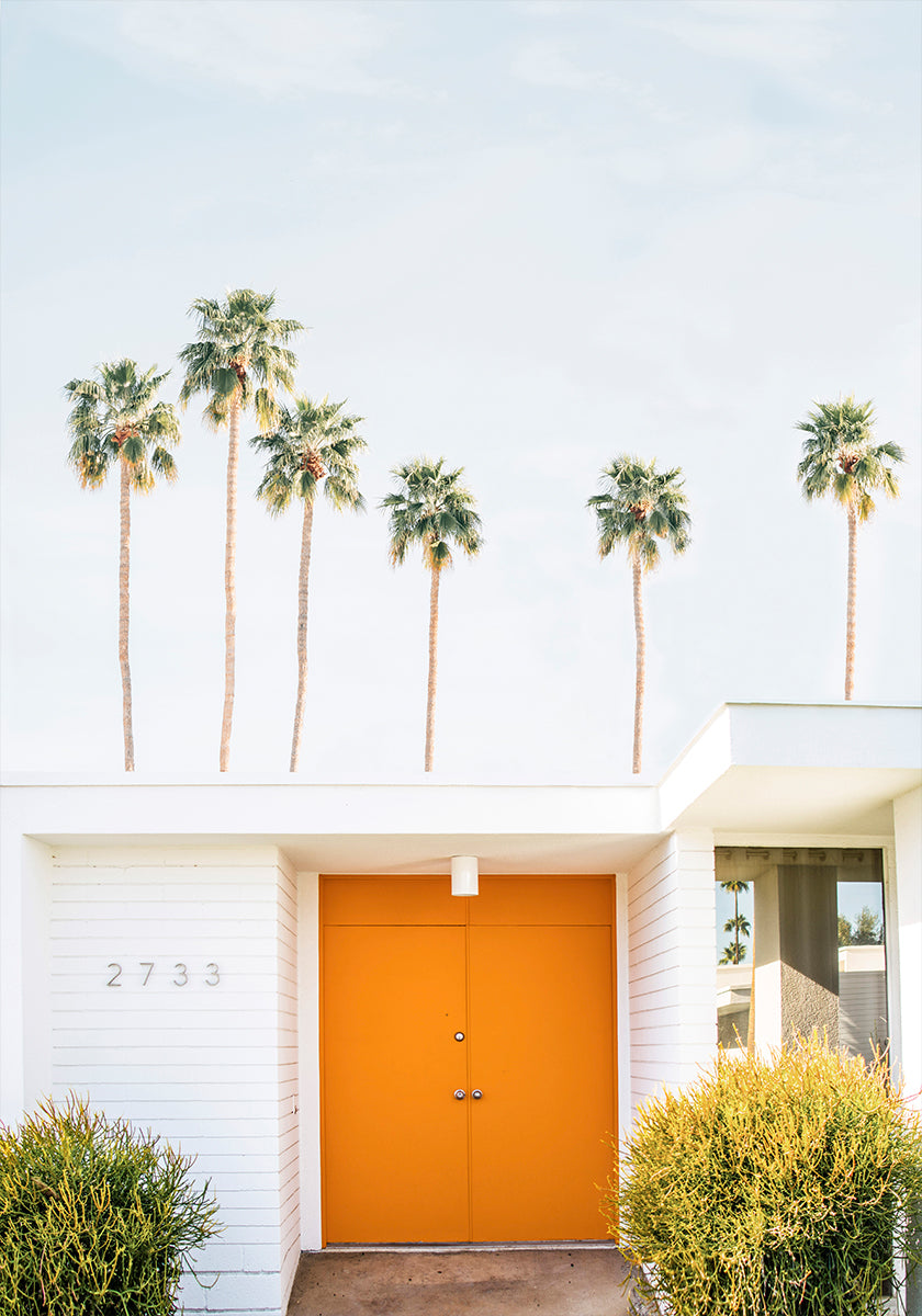 Palm Springs 1 Plakat