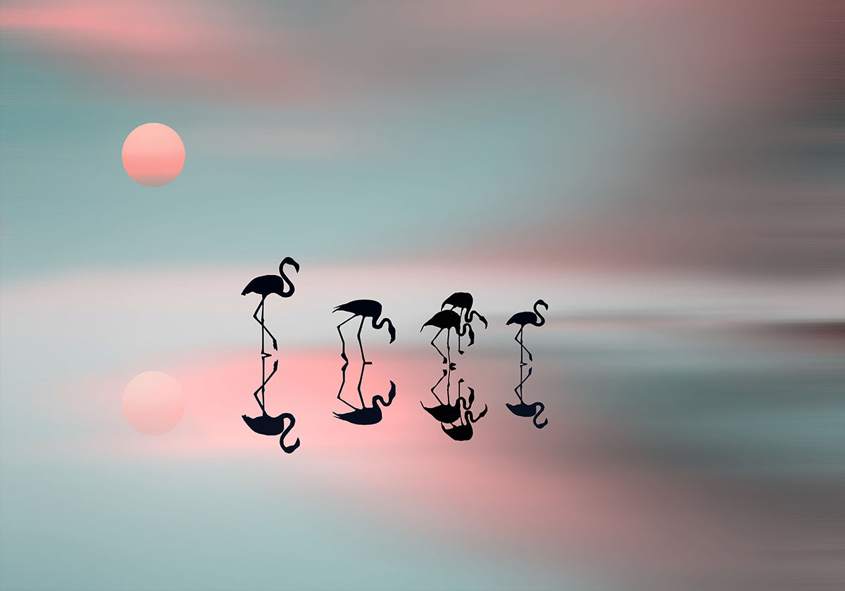 Family flamingos Plakat
