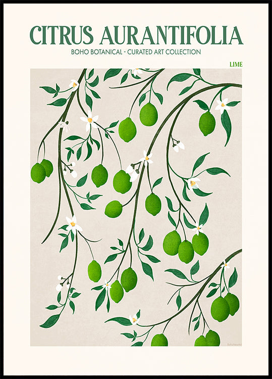 Botanical Lime Bliss Plakat