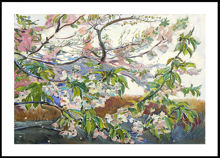 Cherry Blossoms In Spring Plakat