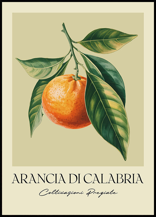 Arancia Di Calabria Plakat