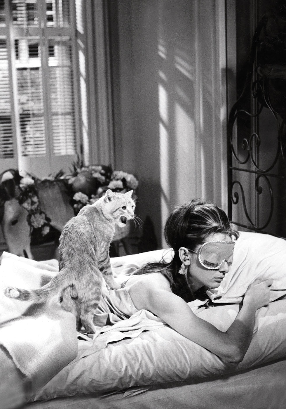 Audrey Hepburn Sleeping With Cat Plakat