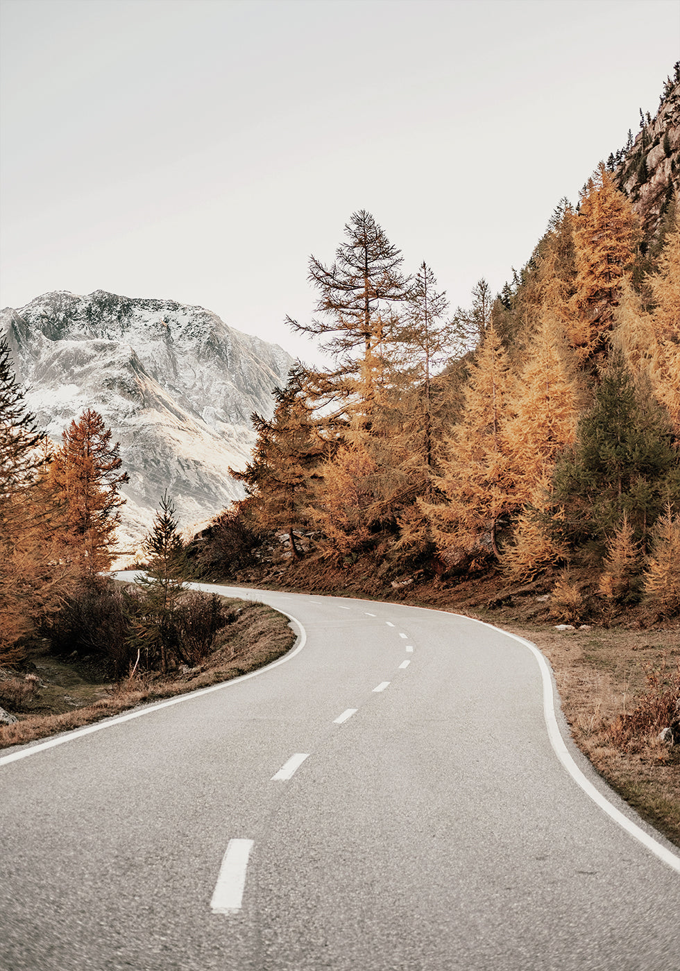 Autumn Road in the Mountains Plakat