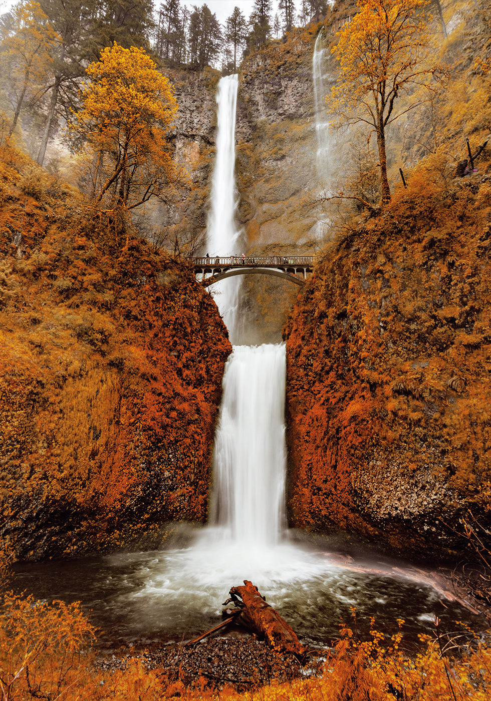 Autumn Waterfall in the Forest Plakat