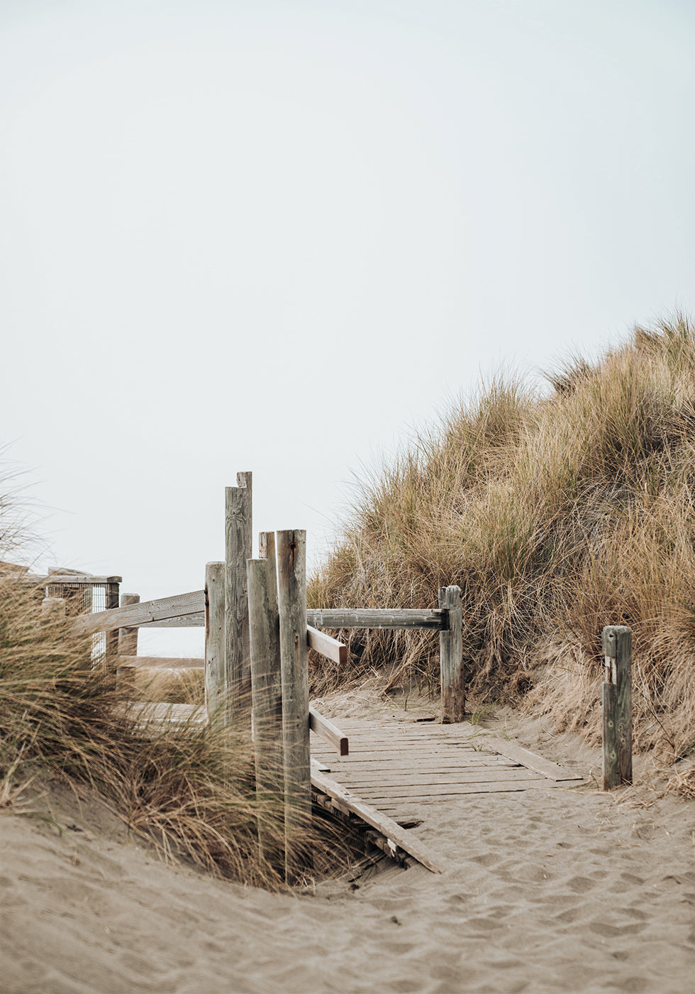 Beach Entrance Plakat