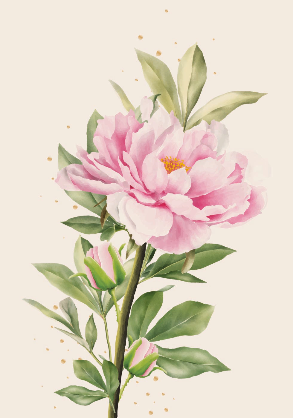 Blooming Peony Plakat