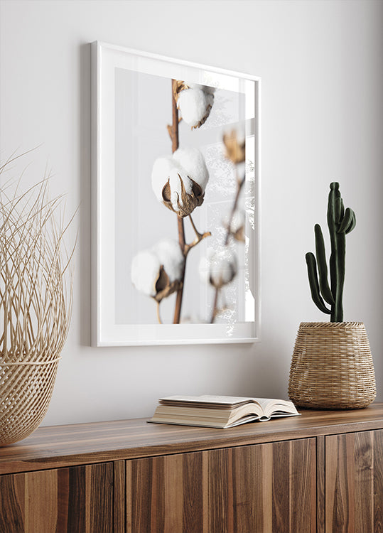 Branches of Fluffy Cotton Plakat