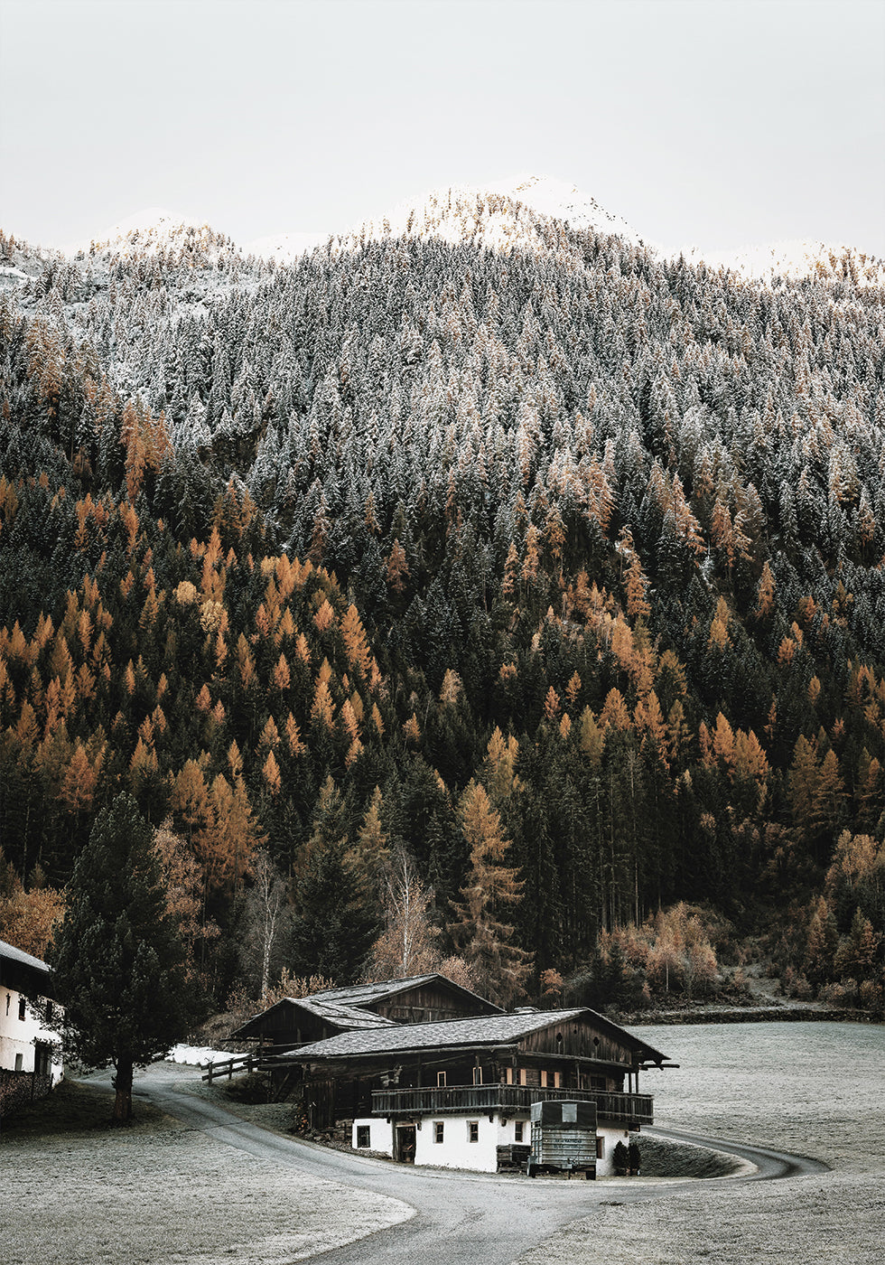 Rustic Houses in the Mountains Plakat