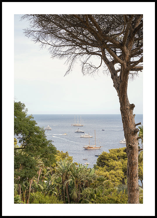 Capri Sea View Plakat