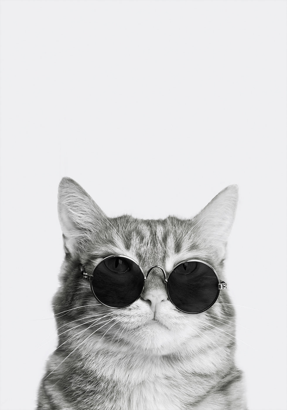 Cat in Sunglasses №2 Plakat