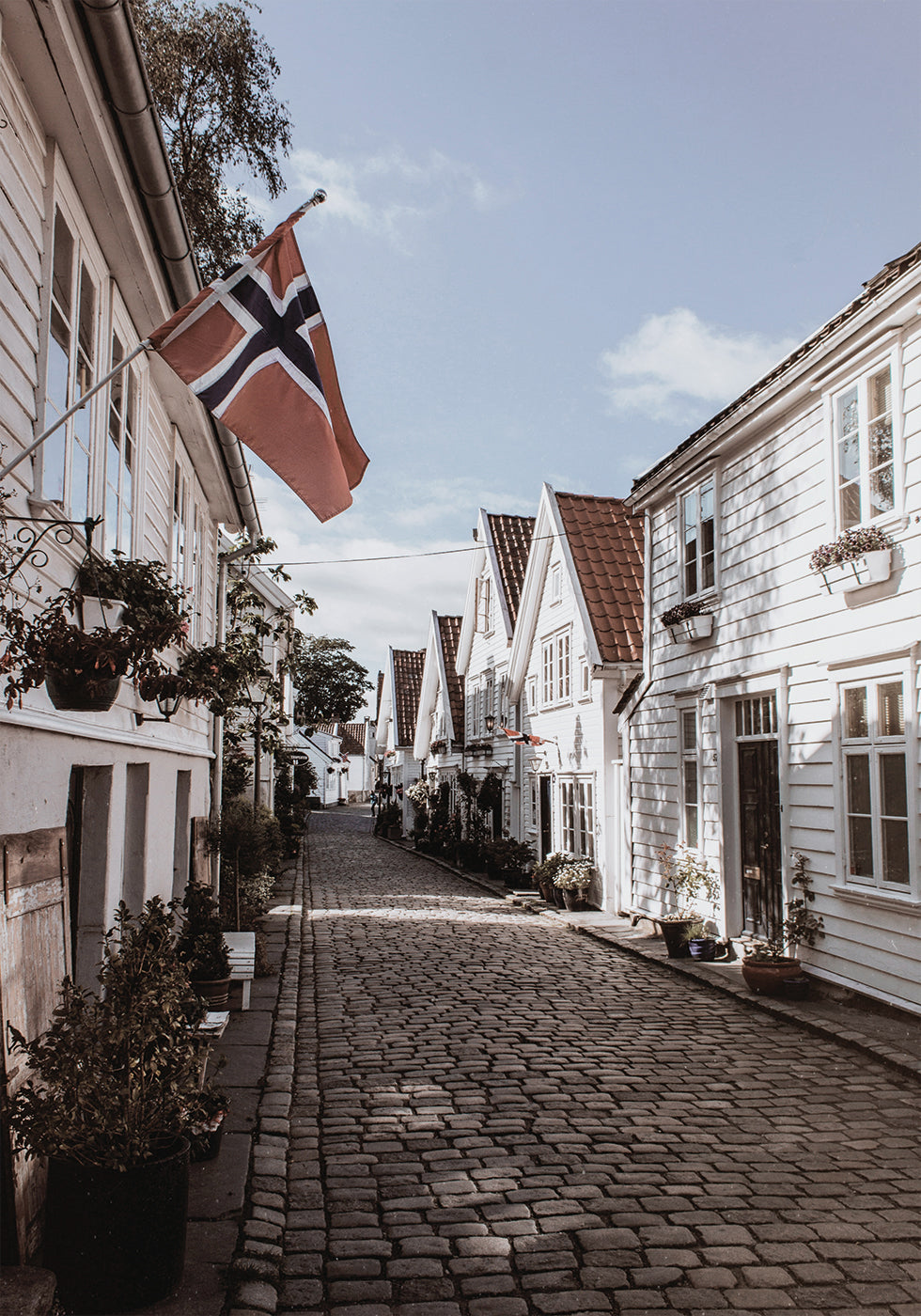 Cozy Street in Norway Plakat