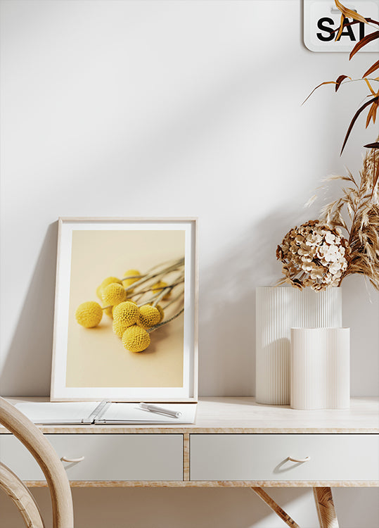 Craspedia Globosa Flowers Plakat