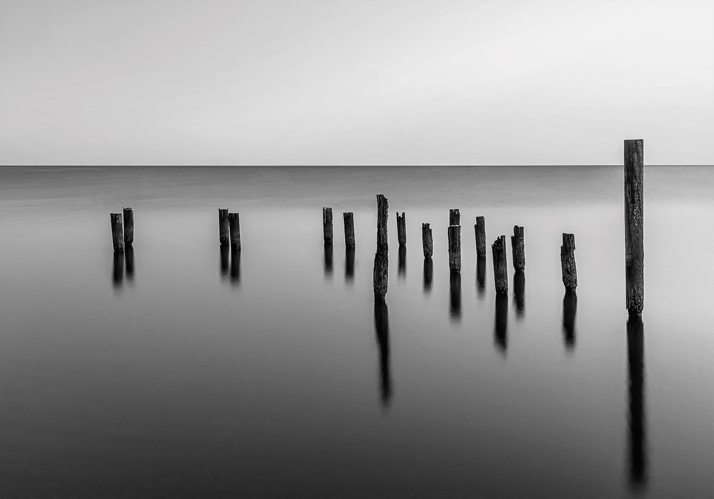 Dock Pilings Plakat