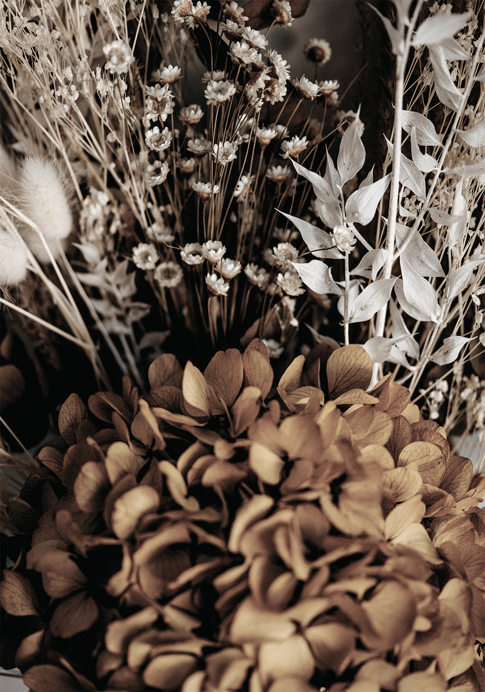 Dried Bouquet No. 2 Plakat