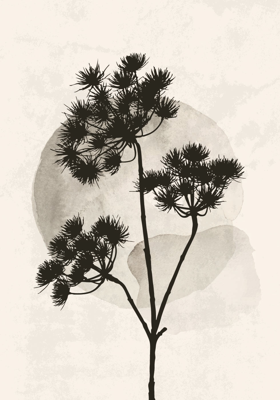 Dried Flower Silhouette Plakat