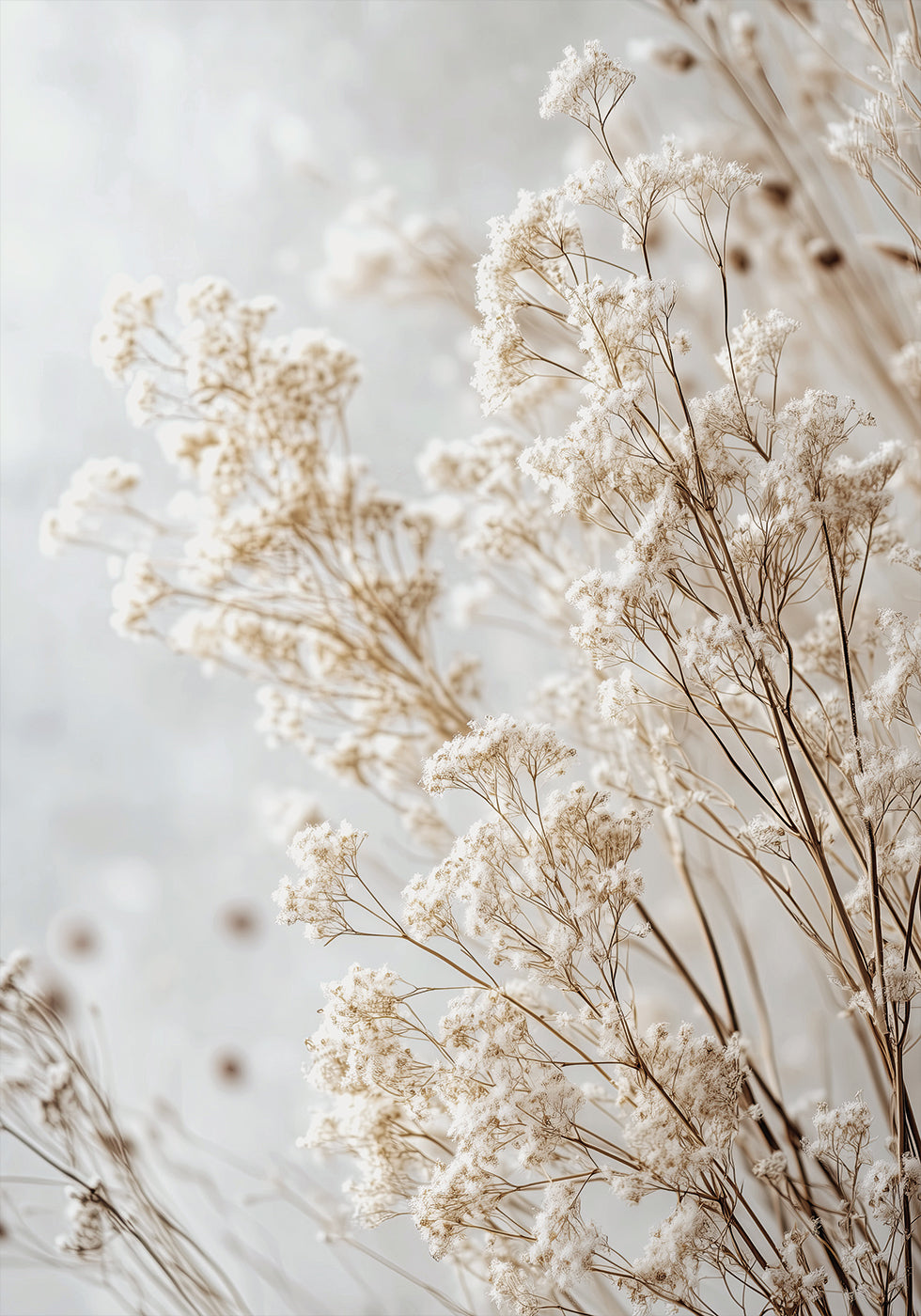 Soft Whispers of Dried Wildflowers in Light Tones Plakat