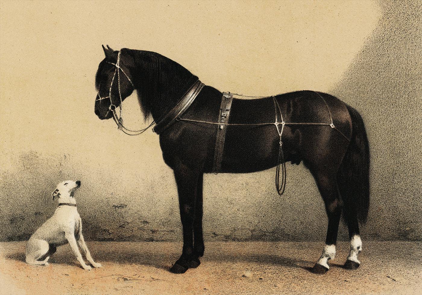 Emil Volkers - Orloffer Horse and Dog Plakat