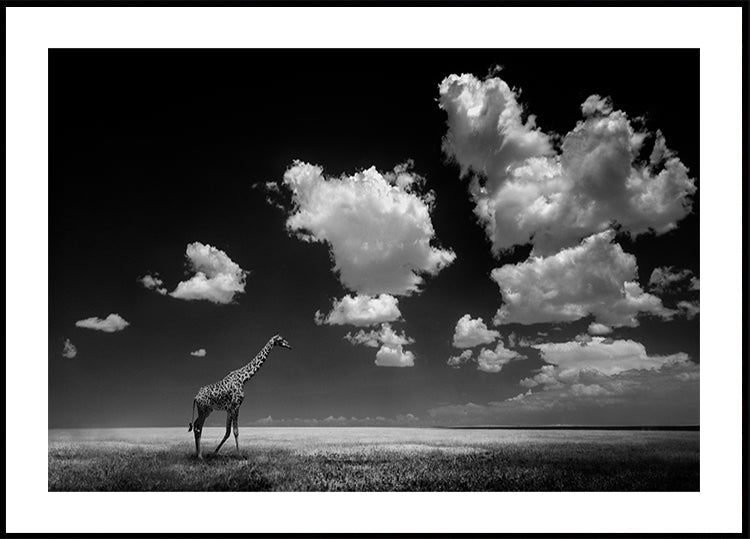 Gone with the Clouds Plakat