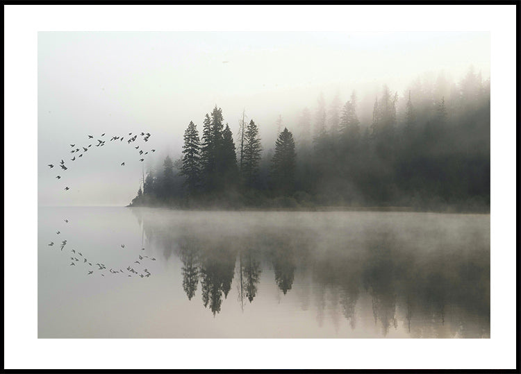 Birds In Nature Plakat