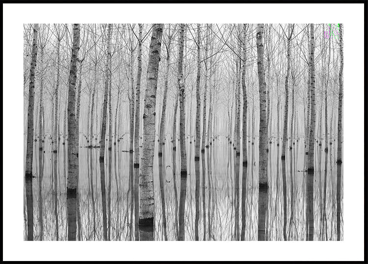 Novembre 2014 Plakat