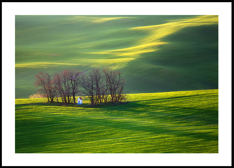 Fields...