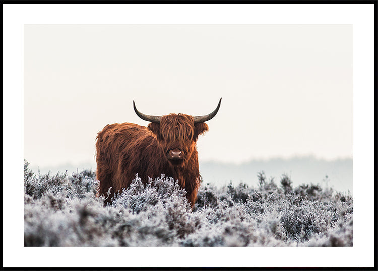 Highlander Poster
