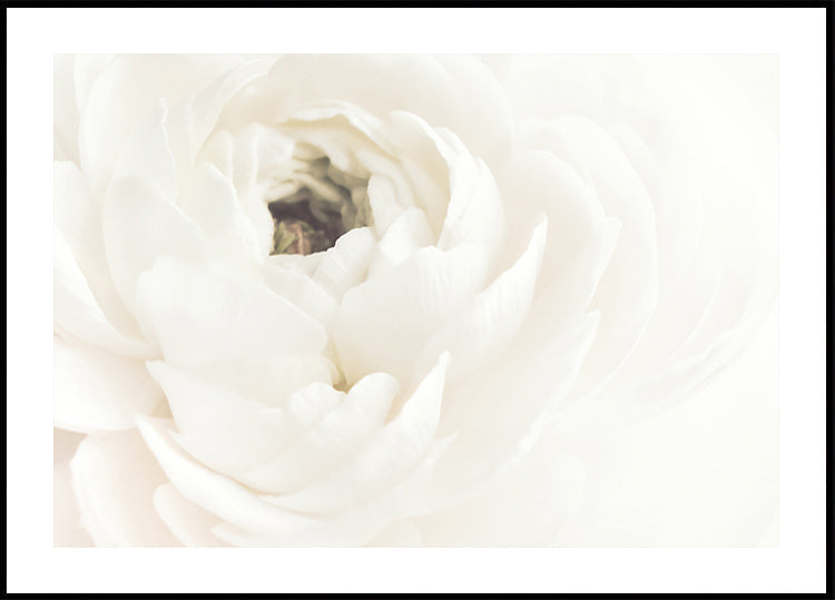 White Flower No.2 Plakat