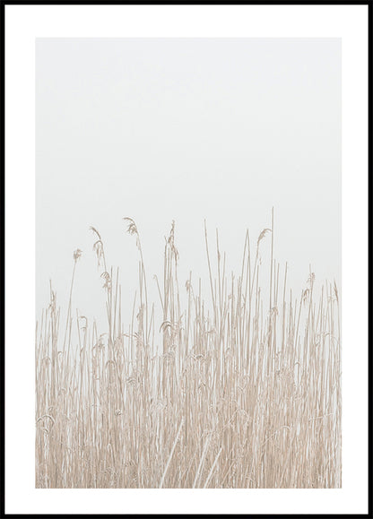 Grass In Fog Plakat