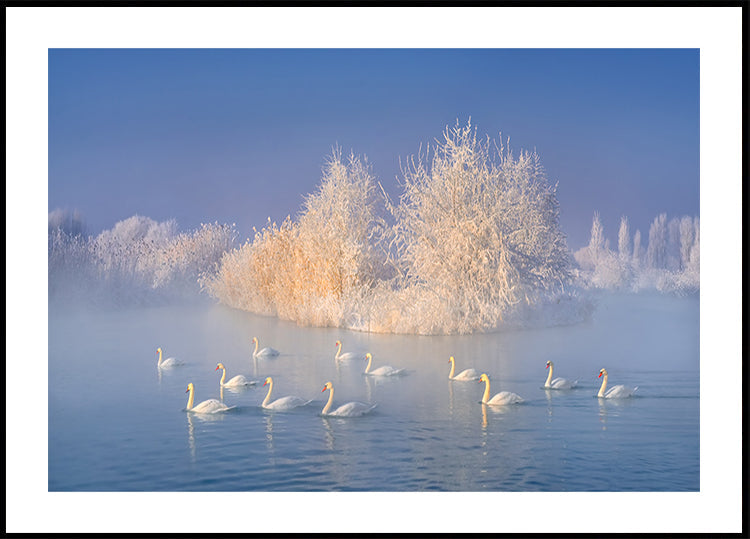 Swan Lake Poster