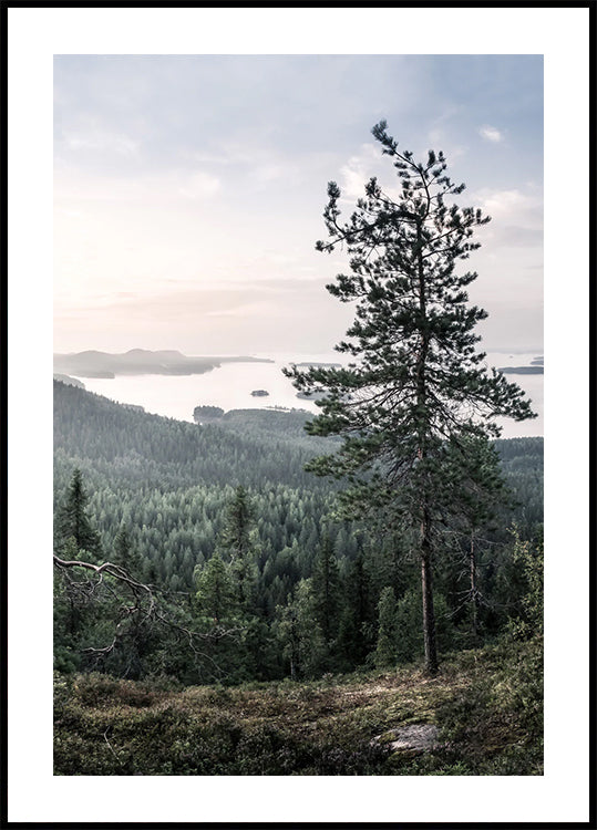 Nordic Forest and Lake View Plakat