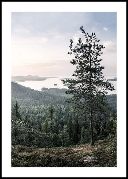 Nordic Forest and Lake View Plakat