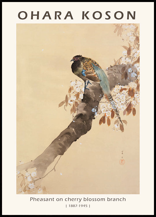 Pheasant on Cherry Blossom Branch, Japanese Woodblock By Ohara Koson Plakat
