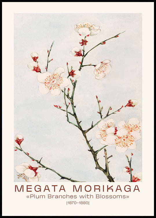 Megata Morikaga, Plum Branches with Blossoms Plakat
