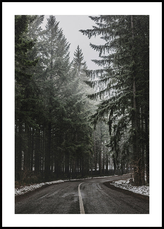 Forest Road in Winter Plakat