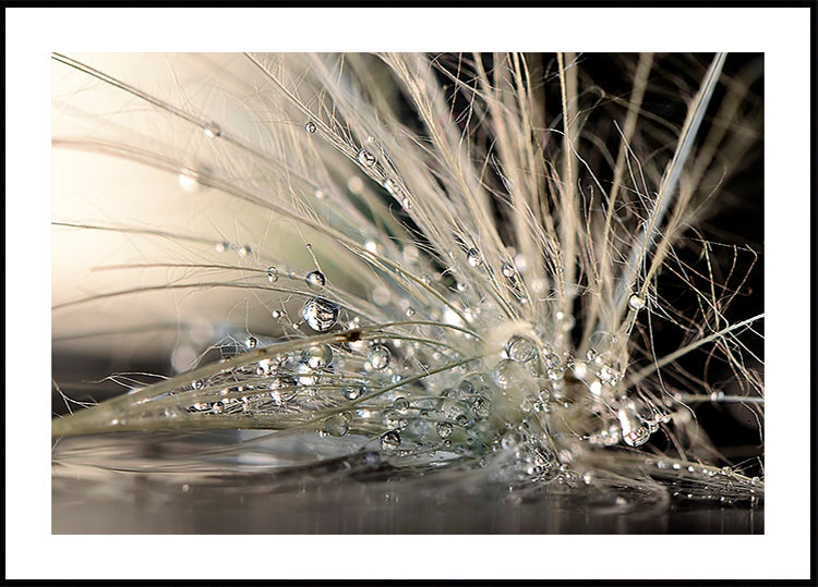 Pearls Plakat
