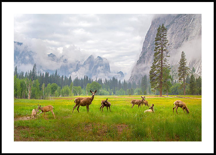 A Feeling of Ancient Time Plakat