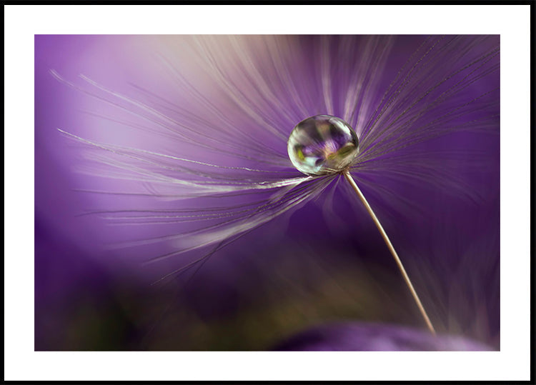 In shades of purple