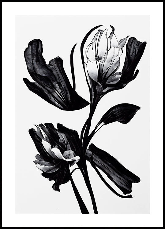Black Flower Plakat