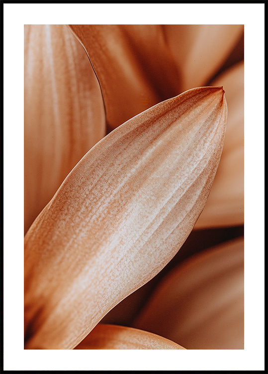 Amber Petal Elegance Plakat