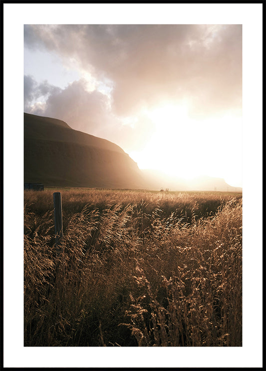 Golden Fields at Dusk Plakat