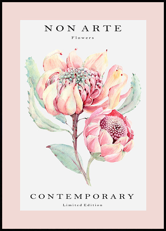 Non Arte rose flower