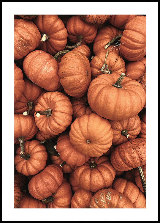 Warm Autumn Pumpkins Plakat