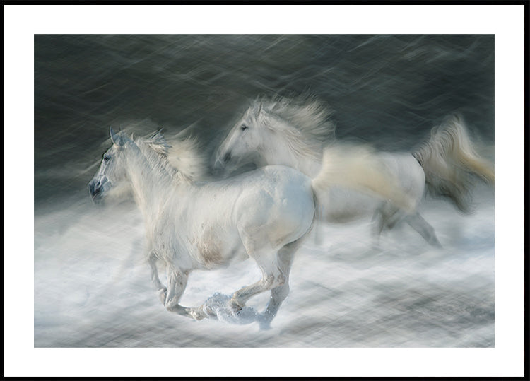 gallop in a duel Plakat