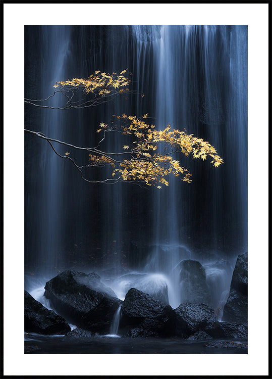 Yellow Autumn Plakat