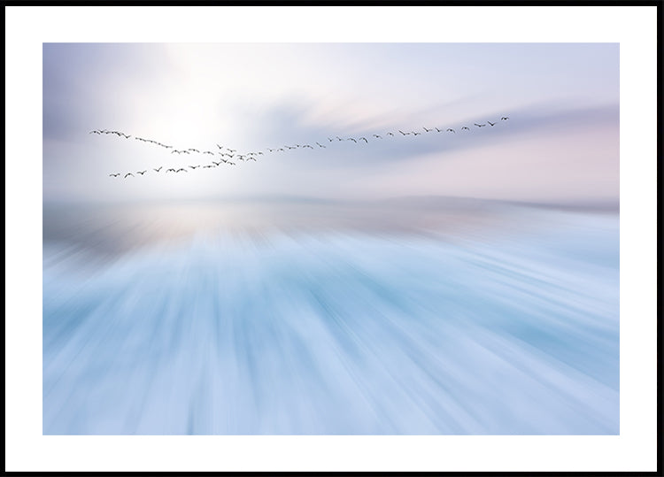fly over Poster