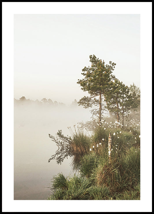 Foggy Summer Morning Plakat