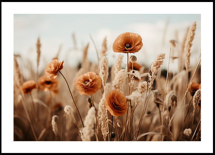Poppies in Breeze Plakat