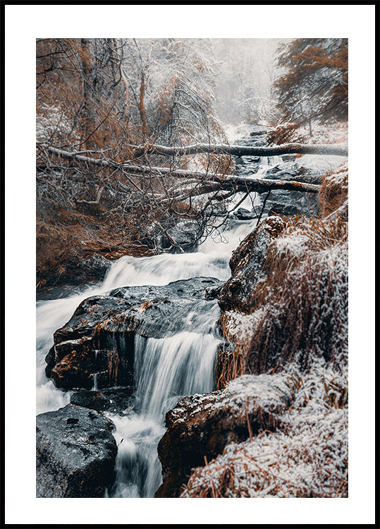 Winter Waterfall In The Forest Plakat