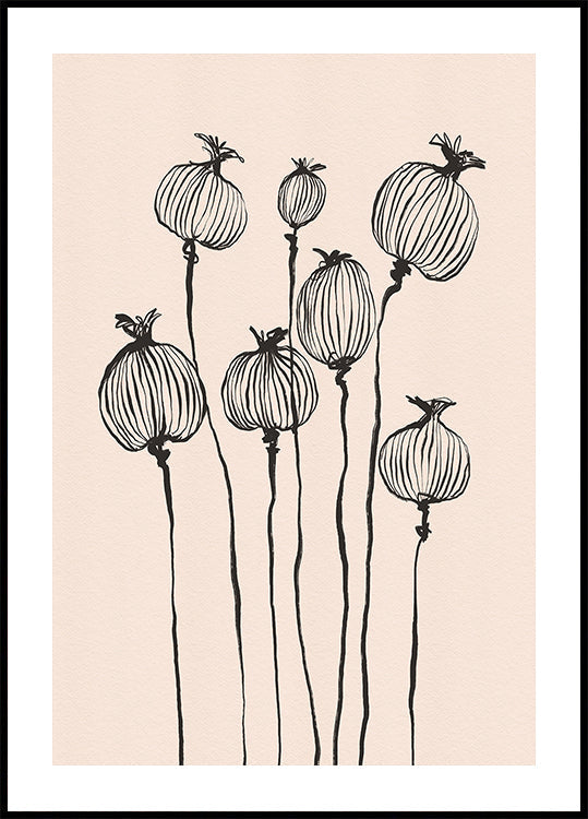 Poppy Pods Plakat