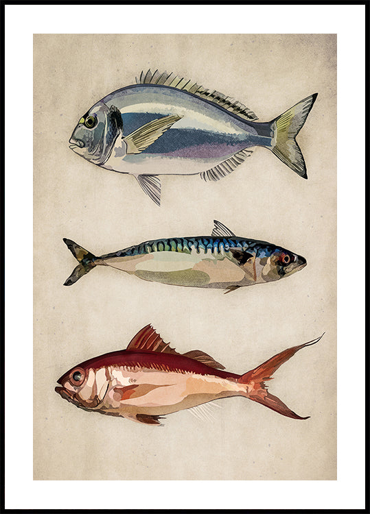 Trio of Ocean Life